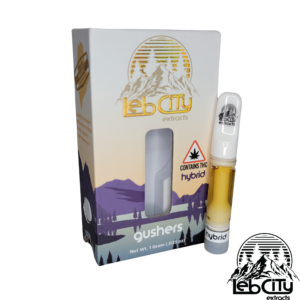 *Leb City Vape Cart - Gushers