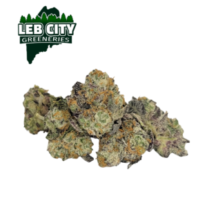 KID DYNAMITE SMALL BUDS