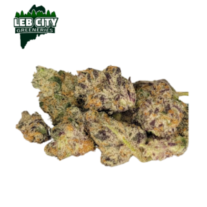 PAPAYA FIYA SMALL BUDS